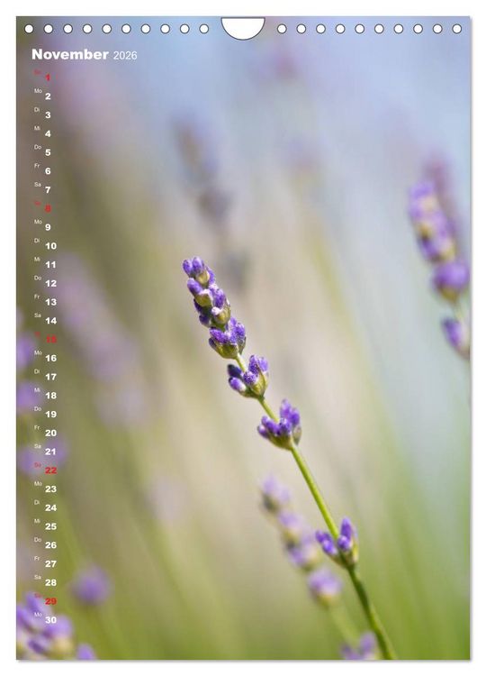 Produktbild: Colors of Nature (Wandkalender 2026 DIN A4 hoch), CALVENDO Monatskalender