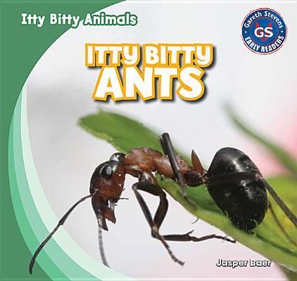 Produktbild: Itty Bitty Ants
