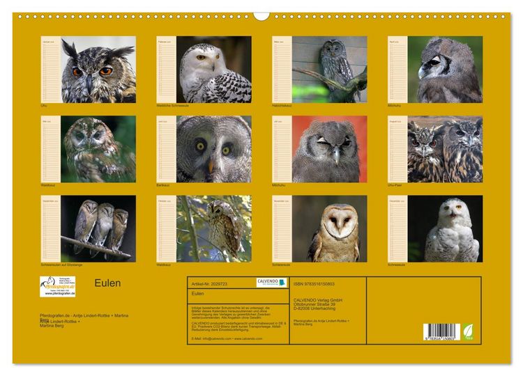 Produktbild: Eulen (Wandkalender 2026 DIN A2 quer), CALVENDO Monatskalender
