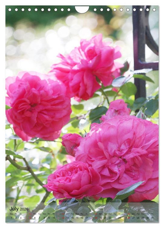 Produktbild: Garden Bliss (Wall Calendar 2026 DIN A4 portrait), CALVENDO 12 Month Wall Calendar