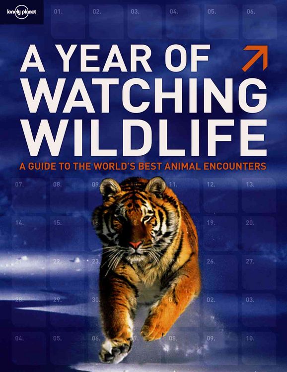 Produktbild: A Year of Watching Wildlife: A Guide to the World's Best Animal Encounters