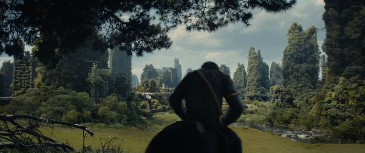 Produktbild: Planet der Affen - New Kingdom (4K Ultra HD) (+ Blu-ray)