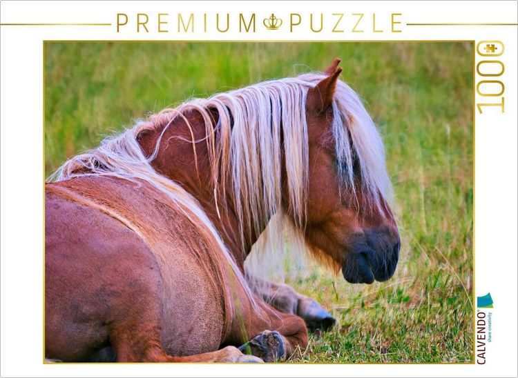 Produktbild: CALVENDO Puzzle Ausruhen muss auch sein | 1000 Teile Lege-Gr&ouml;&szlig;e 64x48cm Foto-Puzzle f&uuml;r gl&uuml;ckliche Stunden