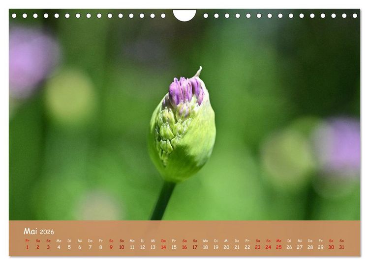 Produktbild: Der Zauber steckt immer im Detail (Wandkalender 2026 DIN A4 quer), CALVENDO Monatskalender