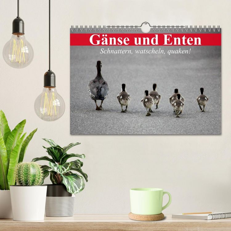 Produktbild: G&auml;nse und Enten. Schnattern, watscheln, quaken! (Wandkalender 2026 DIN A4 quer), CALVENDO Monatskalender