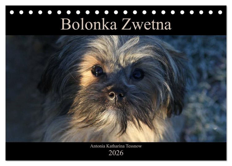 Produktbild: Bolonka Zwetna 2026 (Tischkalender 2026 DIN A5 quer), CALVENDO Monatskalender