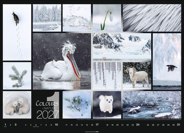 Produktbild: Colours of Nature Kalender 2027