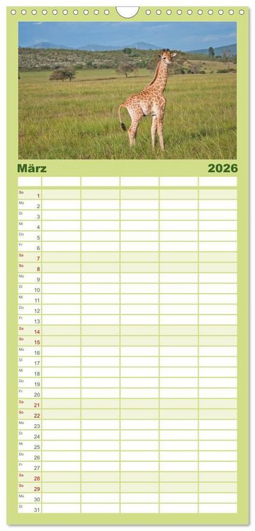 Produktbild: Familienplaner 2026 - Tierische Gl&uuml;cksmomente mit 5 Spalten (Wandkalender, 21 x 45 cm) CALVENDO