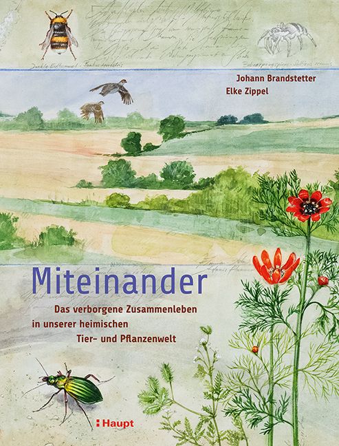 Produktbild: Miteinander