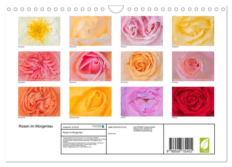 Produktbild: Rosen im Morgentau (Wandkalender 2026 DIN A4 quer), CALVENDO Monatskalender
