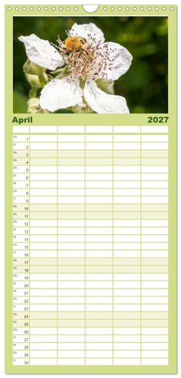 Produktbild: Familienplaner 2027 - INSEKTEN - Makrofotografie in freier Natur mit 5 Spalten (Wandkalender, 21 x 45 cm) CALVENDO