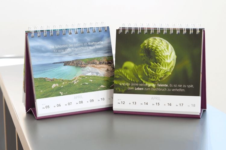 Produktbild: Wochenkalender 2027: Das Leben feiern