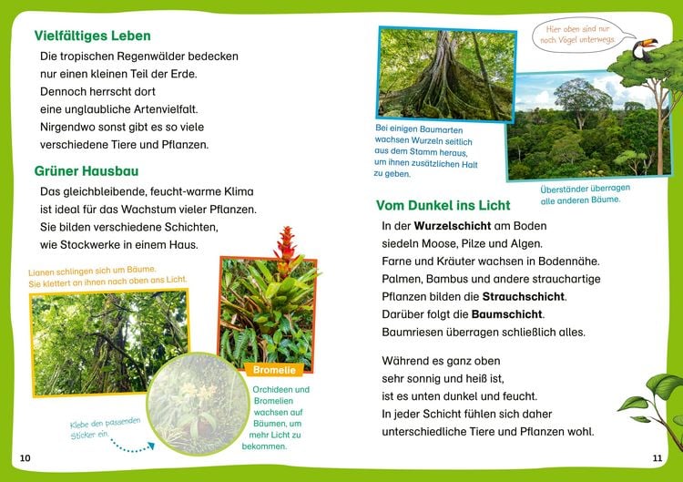 Produktbild: WAS IST WAS Erstes Lesen. Leser&auml;tsel Regenwald