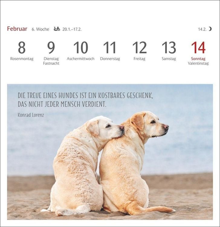 Produktbild: Hunde Premium-Postkartenkalender 2027 - Freunde auf vier Pfoten; Kalender mit 53 Postkarten