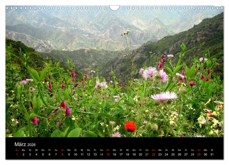 Produktbild: La Gomera (Wandkalender 2026 DIN A3 quer), CALVENDO Monatskalender