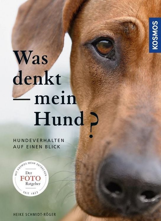 Produktbild: Was denkt mein Hund?