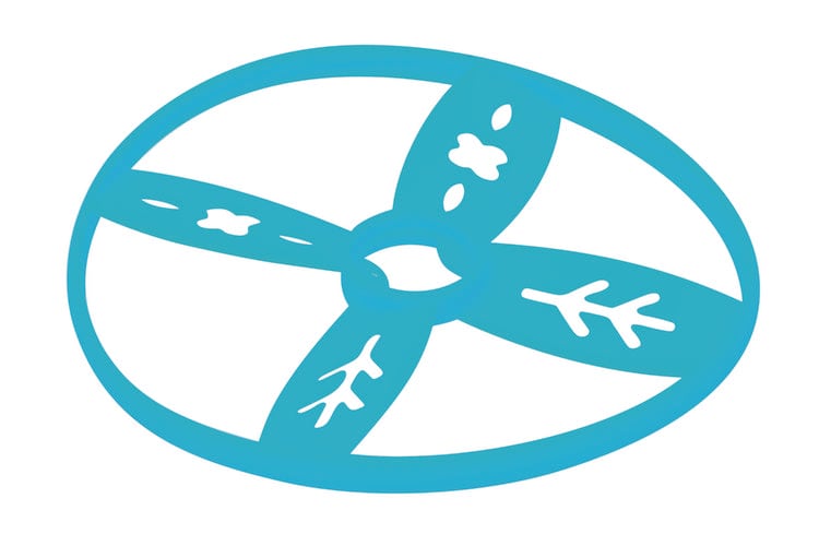 Produktbild: Krabbelk&auml;fer Propeller-Fangspiel
