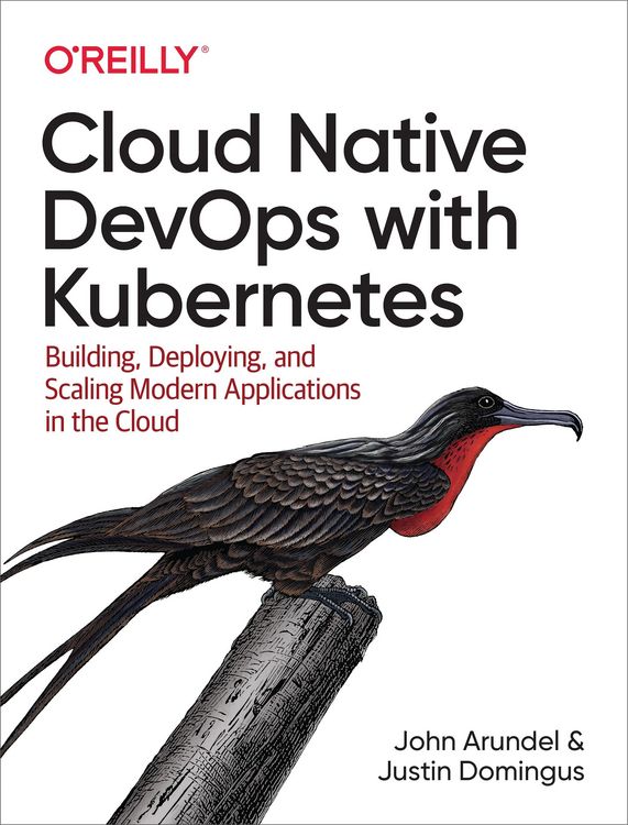 Produktbild: Cloud Native DevOps with Kubernetes