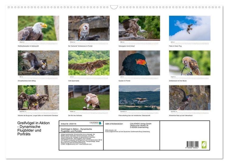 Produktbild: Greifv&ouml;gel in Aktion - Dynamische Flugbilder und Portr&auml;ts (Wandkalender 2027 DIN A2 quer), CALVENDO Monatskalender