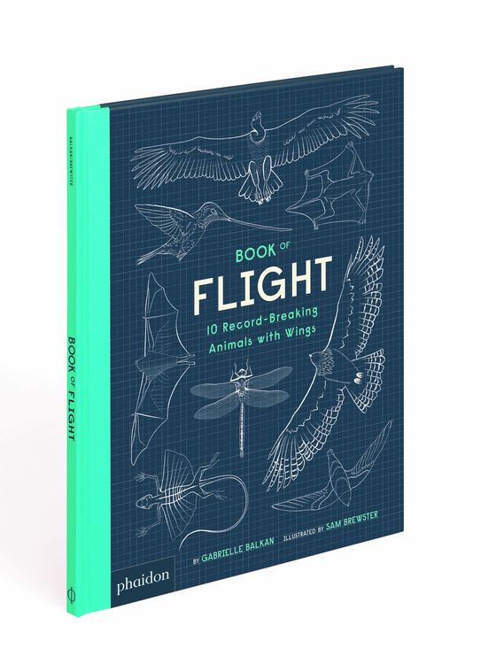 Produktbild: Book of Flight