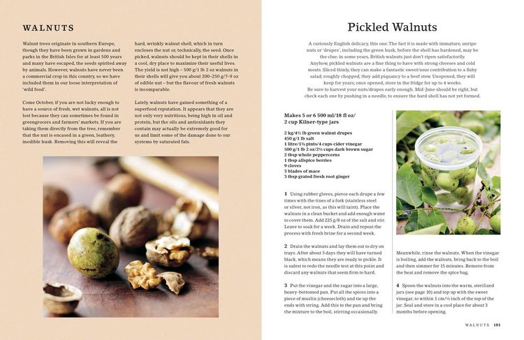 Produktbild: HEDGEROW COOKBOOK HB