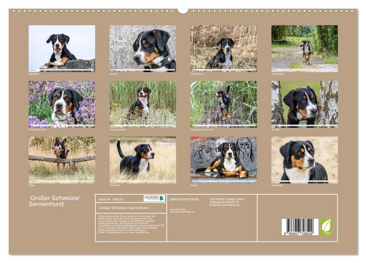 Produktbild: Gro&szlig;er Schweizer Sennenhund (hochwertiger Premium Wandkalender 2026 DIN A2 quer), Kunstdruck in Hochglanz