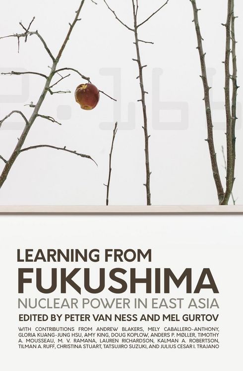Produktbild: Learning from Fukushima