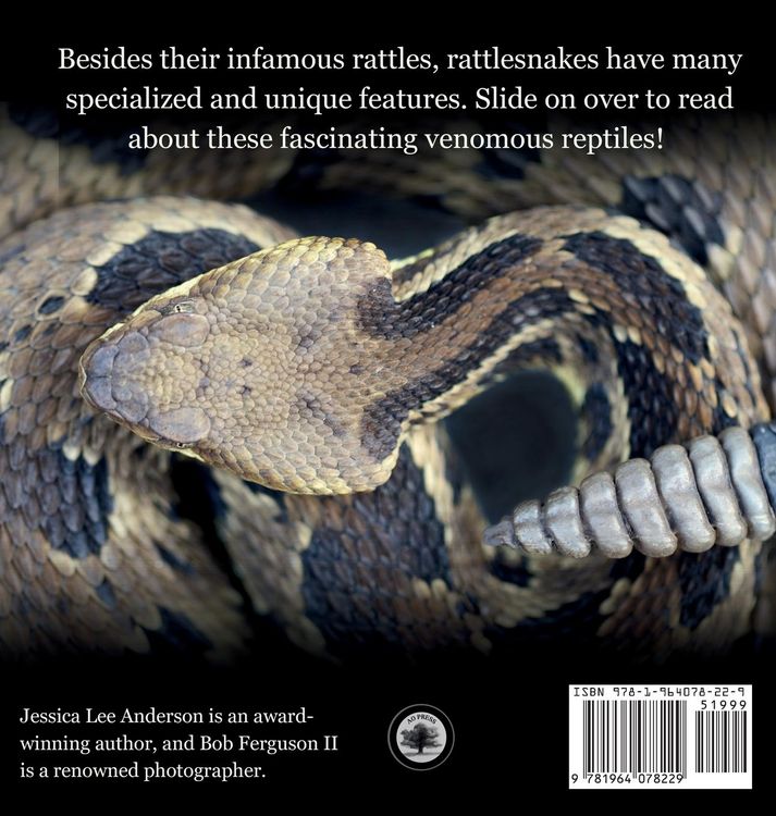 Produktbild: Rattlesnakes