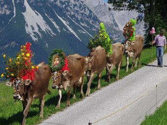 Produktbild: CALVENDO Puzzle Der Schluss des Zuges kommt vorbei | 1000 Teile Lege-Gr&ouml;&szlig;e 64x48cm Foto-Puzzle f&uuml;r gl&uuml;ckliche Stunden