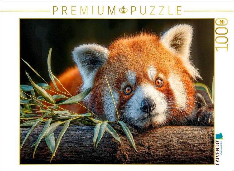 Produktbild: CALVENDO Puzzle Ich liebe Bambus | 1000 Teile Lege-Gr&ouml;&szlig;e 64x48cm Foto-Puzzle f&uuml;r gl&uuml;ckliche Stunden