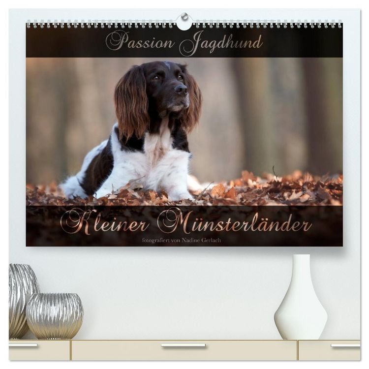 Produktbild: Passion Jagdhund - Kleiner M&uuml;nsterl&auml;nder (hochwertiger Premium Wandkalender 2026 DIN A2 quer), Kunstdruck in Hochglanz