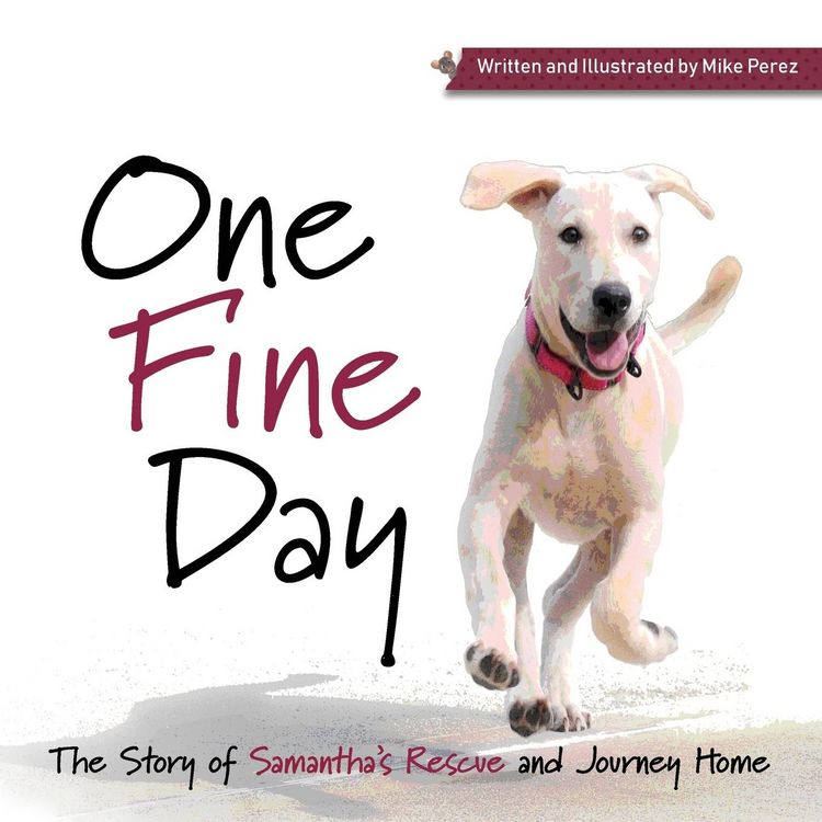 Produktbild: One Fine Day