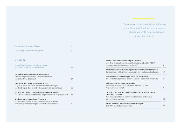 Produktbild: Die Strategie der Absichtslosigkeit