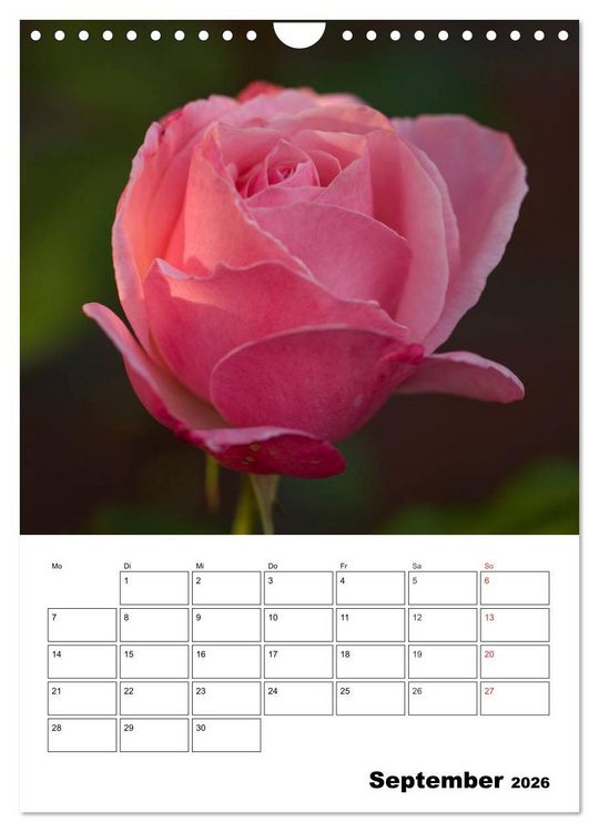 Produktbild: Zauberhafte Rosen (Wandkalender 2026 DIN A4 hoch), CALVENDO Monatskalender
