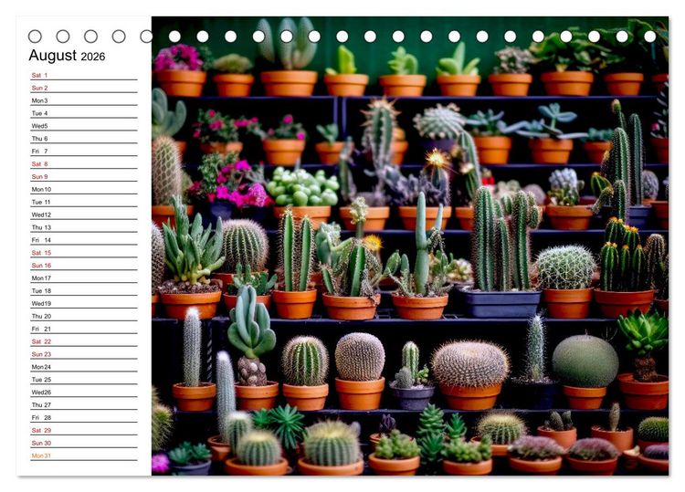 Produktbild: Cacti Wonderland (Desk Calendar 2026 DIN A5 landscape), CALVENDO 12 Month DeskCalendar