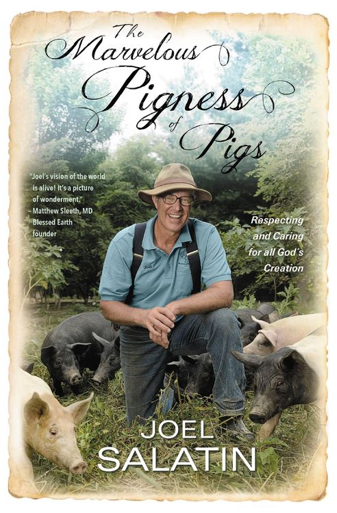 Produktbild: The Marvelous Pigness of Pigs