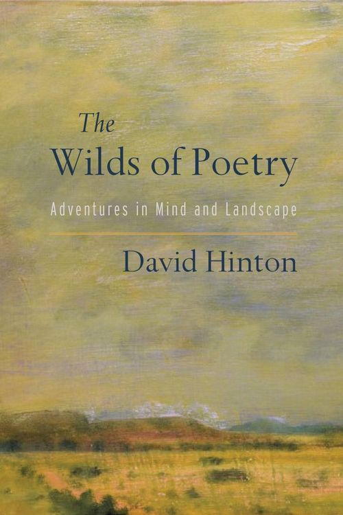 Produktbild: The Wilds of Poetry