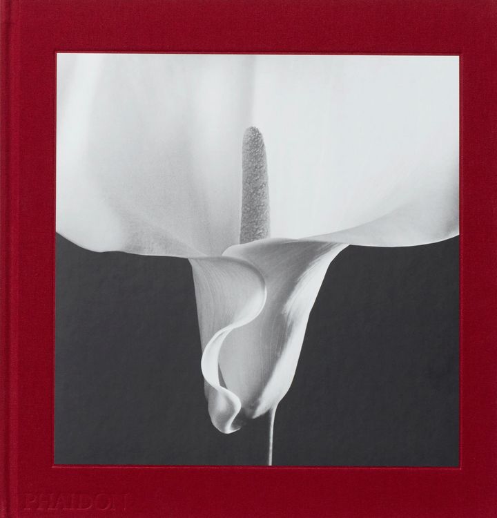 Produktbild: Mapplethorpe Flora