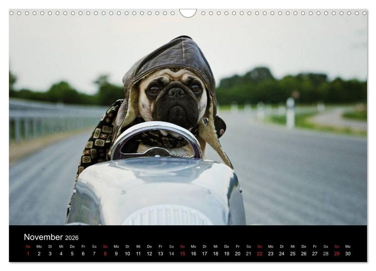 Produktbild: Der MOPS-Kalender (Wandkalender 2026 DIN A3 quer), CALVENDO Monatskalender