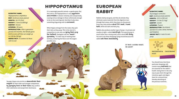 Produktbild: Weird and Wonderful Gross Animals