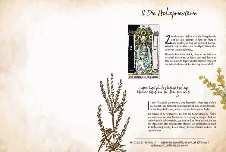 Produktbild: Tarot & Gr&uuml;ne Magie