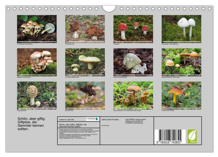 Produktbild: Sch&ouml;n, aber giftig. Giftpilze, die Sammler kennen sollten. (Wandkalender 2026 DIN A4 quer), CALVENDO Monatskalender