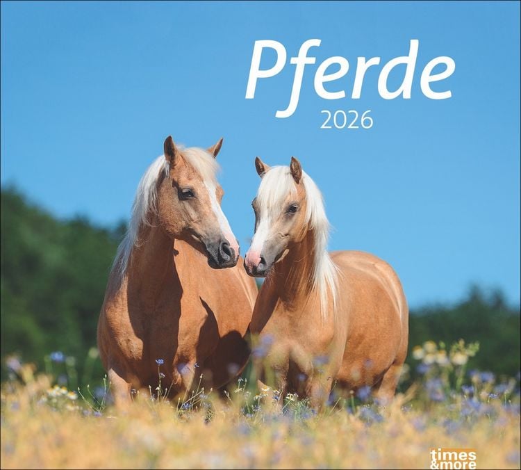 Produktbild: Times&more Pferde Bildkalender 2026