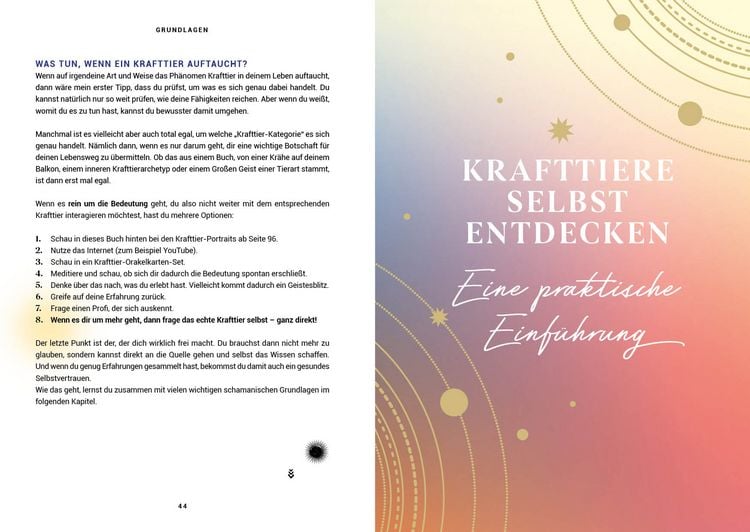 Produktbild: Praxisbuch Schamanische Krafttiere &ndash; Entdecke deine Seelenbegleiter