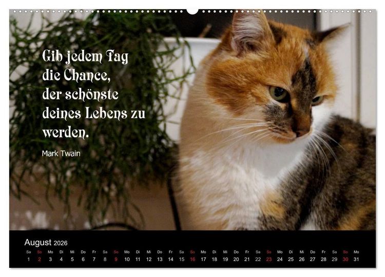 Produktbild: Gl&uuml;ckskatze - Mit Zitaten zum Thema Gl&uuml;ck (Wandkalender 2026 DIN A2 quer), CALVENDO Monatskalender