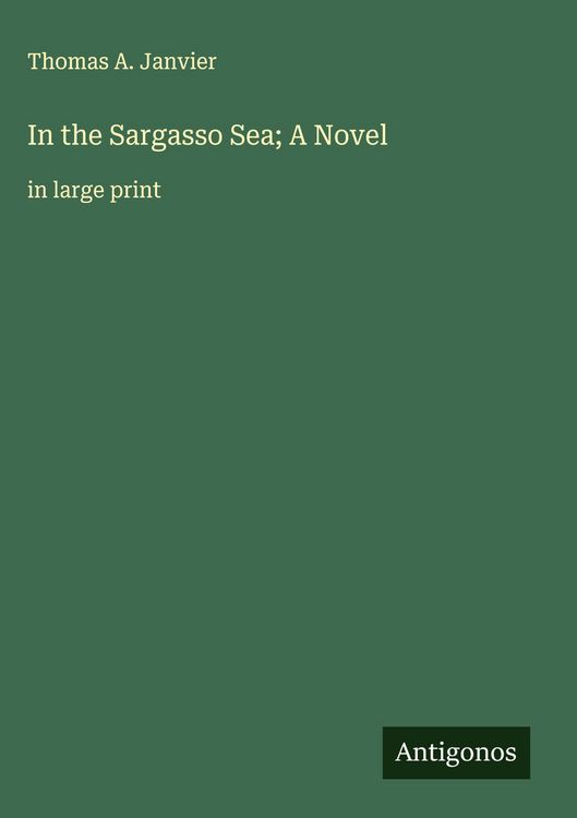 Produktbild: In the Sargasso Sea; A Novel