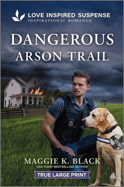 Produktbild: Dangerous Arson Trail