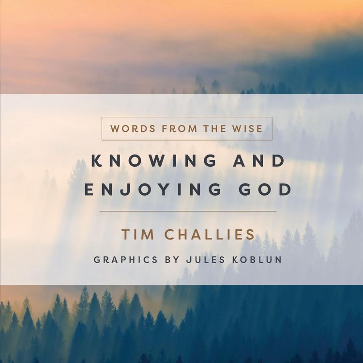 Produktbild: Knowing and Enjoying God