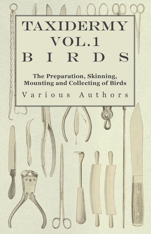 Produktbild: Taxidermy Vol.1 Birds - The Preparation, Skinning, Mounting and Collecting of Birds