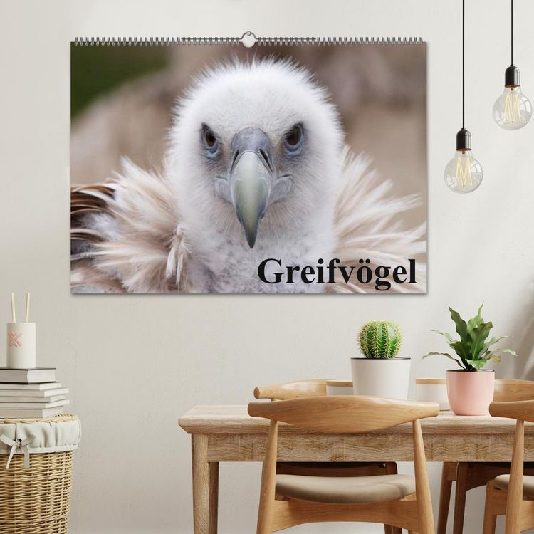 Produktbild: Greifv&ouml;gel (Wandkalender 2026 DIN A2 quer), CALVENDO Monatskalender